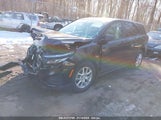 CHEVROLET EQUINOX FWD LS 3GNAXHEG8RL313194 fotografie