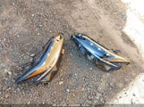 LEXUS ES 300H LUXURY 58AEA1C12PU****** снимка