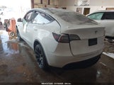 TESLA MODEL Y 7SAYGDEE3PF690691 fotografie