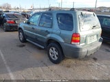 FORD ESCAPE XLT 1FMYU03Z57K****** снимка