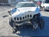 JEEP CHEROKEE LIMITED 4X4 1C4PJMDX5LD608670 снимка