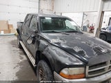 DODGE DAKOTA SLT 1B7HG48ZX2S****** снимка