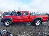 TOYOTA TACOMA BASE V6 5TEUU42N88Z549155 photo