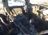 CHEVROLET SILVERADO 1500 Z71 1GCEK19B35E228904 снимка