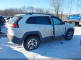 JEEP CHEROKEE TRAILHAWK 4X4 1C4PJMBS1HW622942 снимка