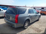 CADILLAC SRX V6 1GYEE637050****** fotografie