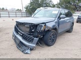 KIA TELLURIDE SX X-PRO 5XYP5DGC9RG430253 снимка