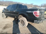 FORD F-150 XLT 1FTFW1ET4EFC30341 снимка