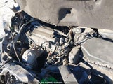 HONDA ACCORD LX 1HGCR2F31DA241387 снимка
