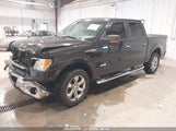 FORD F-150 XLT 1FTFW1ET1DKF36628 снимка