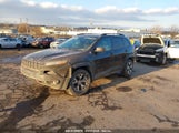 JEEP CHEROKEE TRAILHAWK 1C4PJMBS5EW201978 снимка