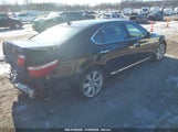 LEXUS LS 600H JTHDU46F685005113 photo