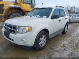 FORD ESCAPE XLT 1FMCU03779K****** fotografie