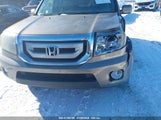HONDA PILOT EX-L 5FNYF4H53BB044541 fotografie