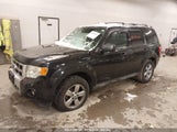 FORD ESCAPE LIMITED 1FMCU94G29K****** снимка