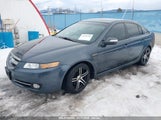 ACURA TL 3.2 19UUA66287A017869 снимка