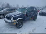 JEEP LIBERTY SPORT 1J4GL48K06W****** снимка