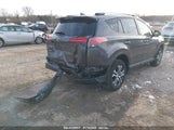 TOYOTA RAV4 LE JTMBFREV4GJ****** fotografie