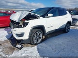 JEEP COMPASS LIMITED 4X4 3C4NJDCB6LT146319 снимка