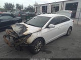 HYUNDAI SONATA 5NPE24AF5GH418951 снимка