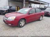 CHEVROLET MALIBU LT 1G1ZU54894F245335 снимка