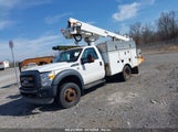 FORD F-450 CHASSIS XL 1FDUF4GY9DEA87811 снимка