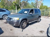 FORD ESCAPE XLT 1FMYU03125KD12730 снимка