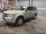 FORD ESCAPE XLT 1FMCU0D75BKB11168 fotografie