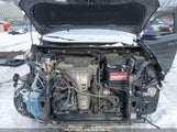 TOYOTA RAV4 LIMITED 2T3DFREV5EW209486 снимка