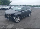 TOYOTA RAV4 LIMITED 2T3DFREV5EW209486 снимка