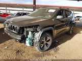 JEEP CHEROKEE TRAILHAWK 1C4PJMBS1EW128589 снимка
