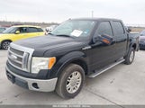 FORD F-150 KING RANCH/LARIAT/PLATINUM/XL/XLT 1FTPW12V59FA69529 photo