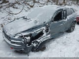 JEEP CHEROKEE TRAILHAWK 1C4PJMBB9EW162280 fotografie