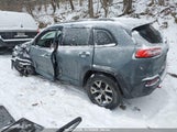 JEEP CHEROKEE TRAILHAWK 1C4PJMBB9EW162280 снимка