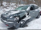 JEEP CHEROKEE TRAILHAWK 1C4PJMBB9EW162280 снимка