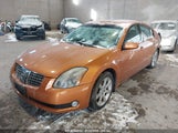 NISSAN MAXIMA 3.5 SE 1N4BA41E54C****** снимка