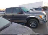 FORD F-150 XL/XLT 1FTRW12819FA45182 снимка