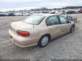 CHEVROLET MALIBU 1G1ND52J53M501713 снимка
