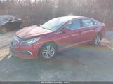 HYUNDAI SONATA SE 5NPE24AF0GH275987 снимка