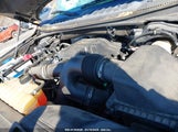 FORD F-150 XL 1FTEX1EP3FF****** снимка