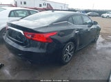 NISSAN MAXIMA 3.5 PLATINUM/3.5 S/3.5 SL/3.5 SR/3.5 SV 1N4AA6AP4GC414574 photo