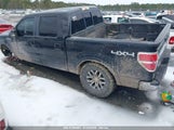 FORD F-150 FX4/HARLEY-DAVIDSON/KING RANCH/LARIAT/PLATINUM/XL/XLT 1FTFW1EVXAFA74365 снимка