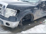 FORD F-150 FX4/HARLEY-DAVIDSON/KING RANCH/LARIAT/PLATINUM/XL/XLT 1FTFW1EVXAFA74365 снимка