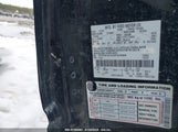 FORD F-150 FX4/HARLEY-DAVIDSON/KING RANCH/LARIAT/PLATINUM/XL/XLT 1FTFW1EVXAFA74365 photo