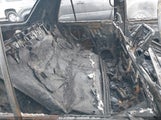 TOYOTA 4RUNNER SR5 V6 JTEBU14R230004255 снимка