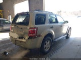 FORD ESCAPE XLT 1FMCU03719K****** fotografie