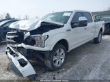 FORD F-150 PLATINUM 1FTFW1EG3JFE03554 снимка