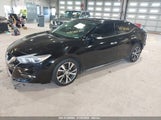 NISSAN MAXIMA 3.5 SL 1N4AA6AP7HC405028 снимка
