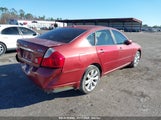 INFINITI M35X JNKAY01F07M453228 снимка