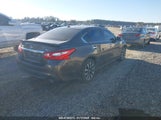 NISSAN ALTIMA 2.5/2.5 S/2.5 SL/2.5 SR/2.5 SV 1N4AL3AP3GC136131 fotografie